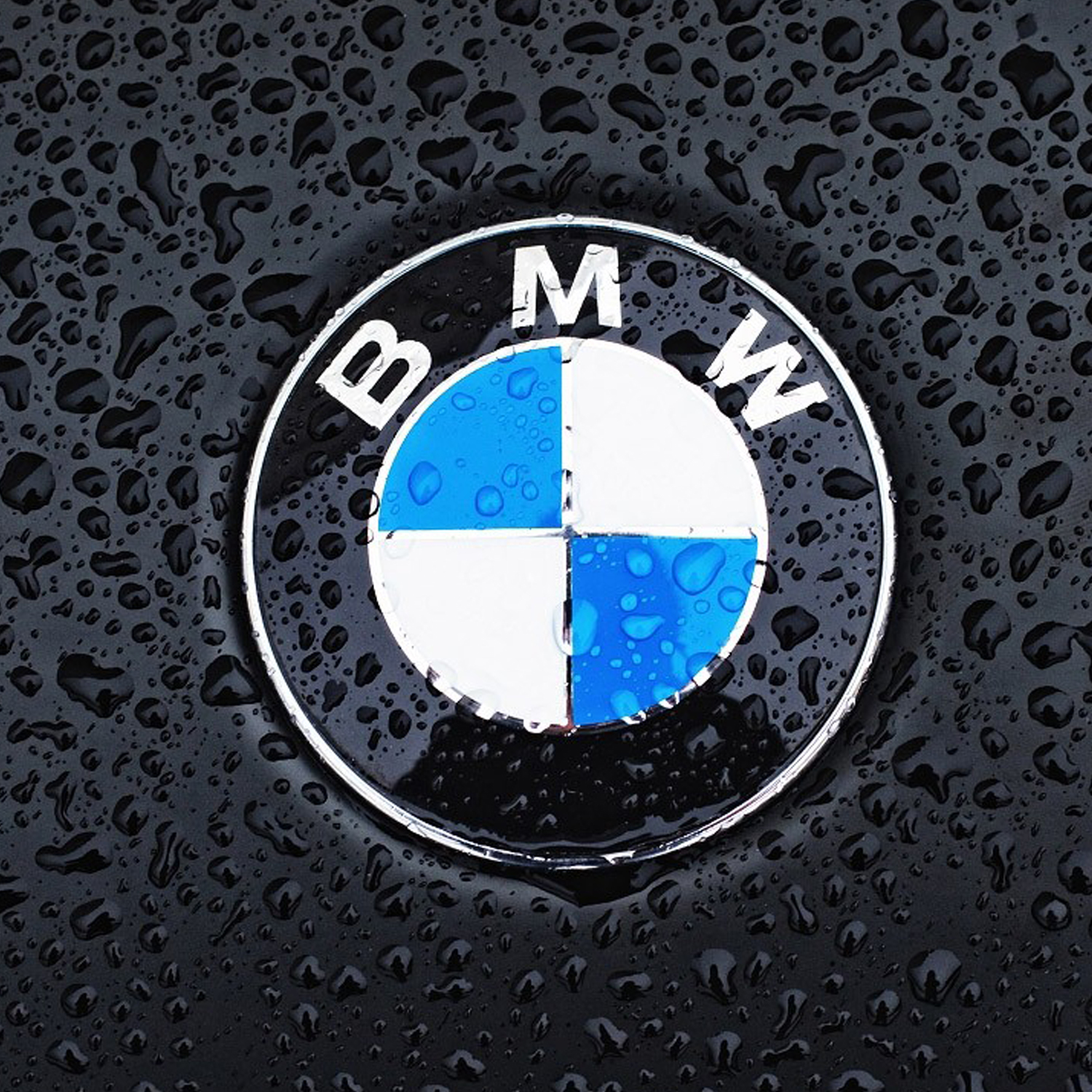 BMW logo car emblem