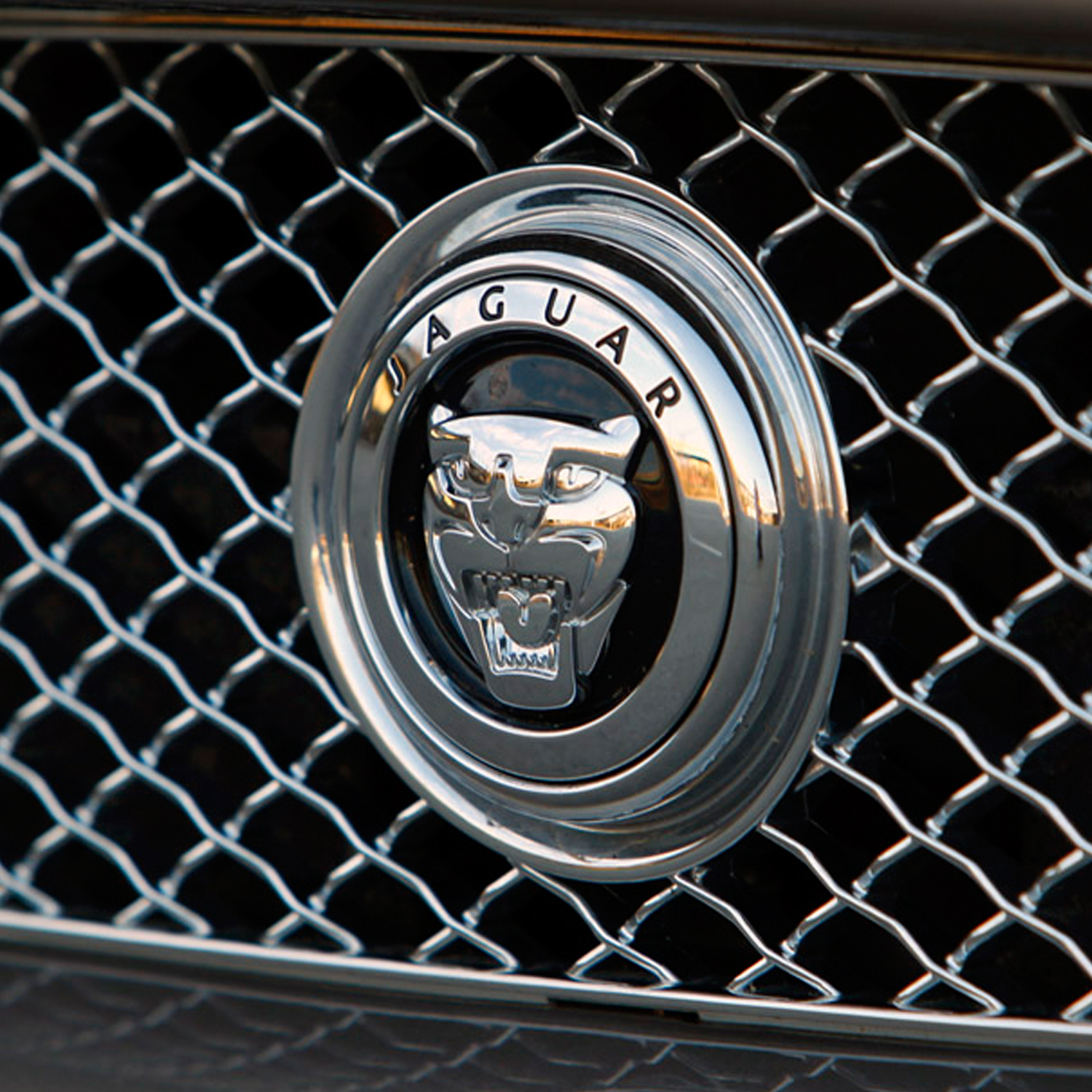 Jaguar logo car emblem