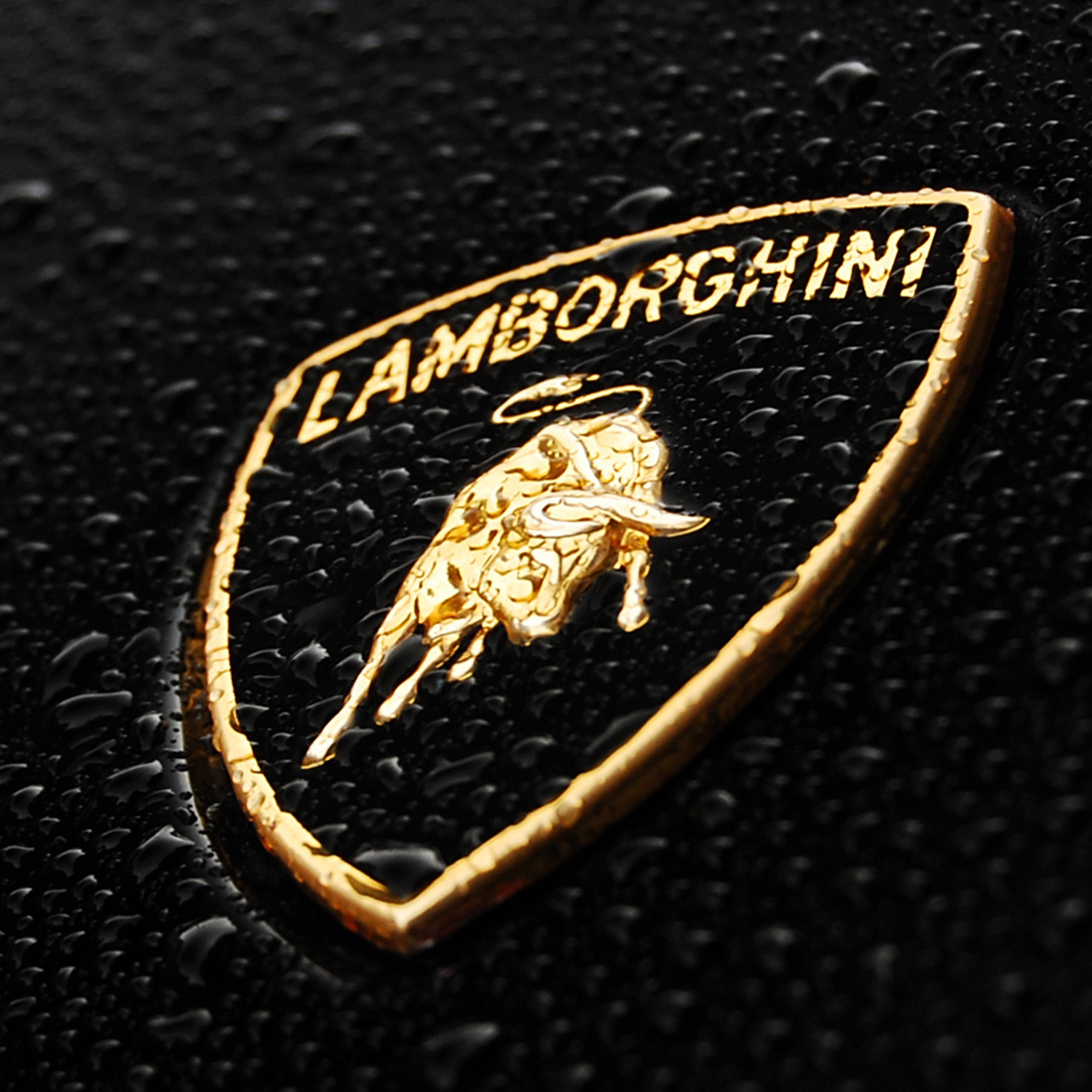 Lamborghini logo car emblem