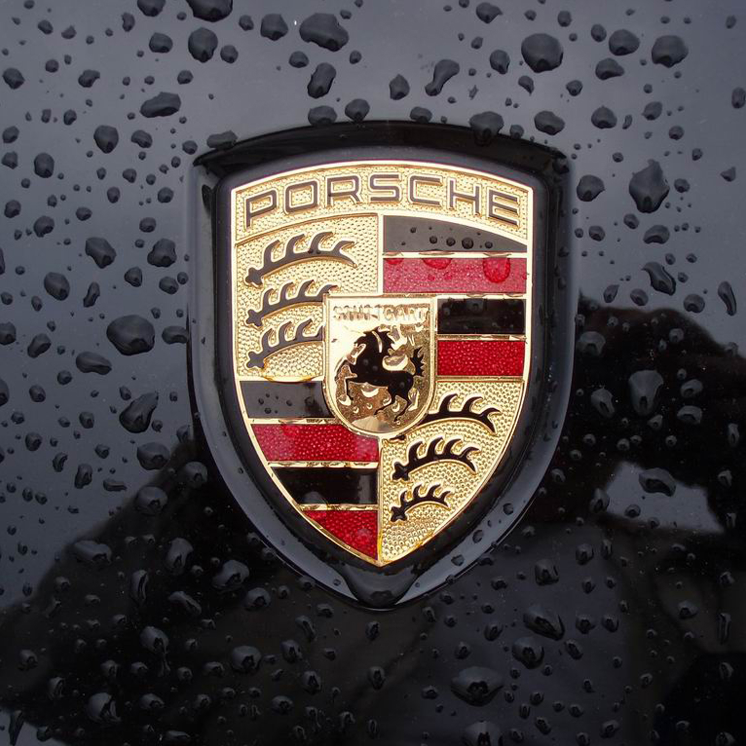 Porsche logo car emblem