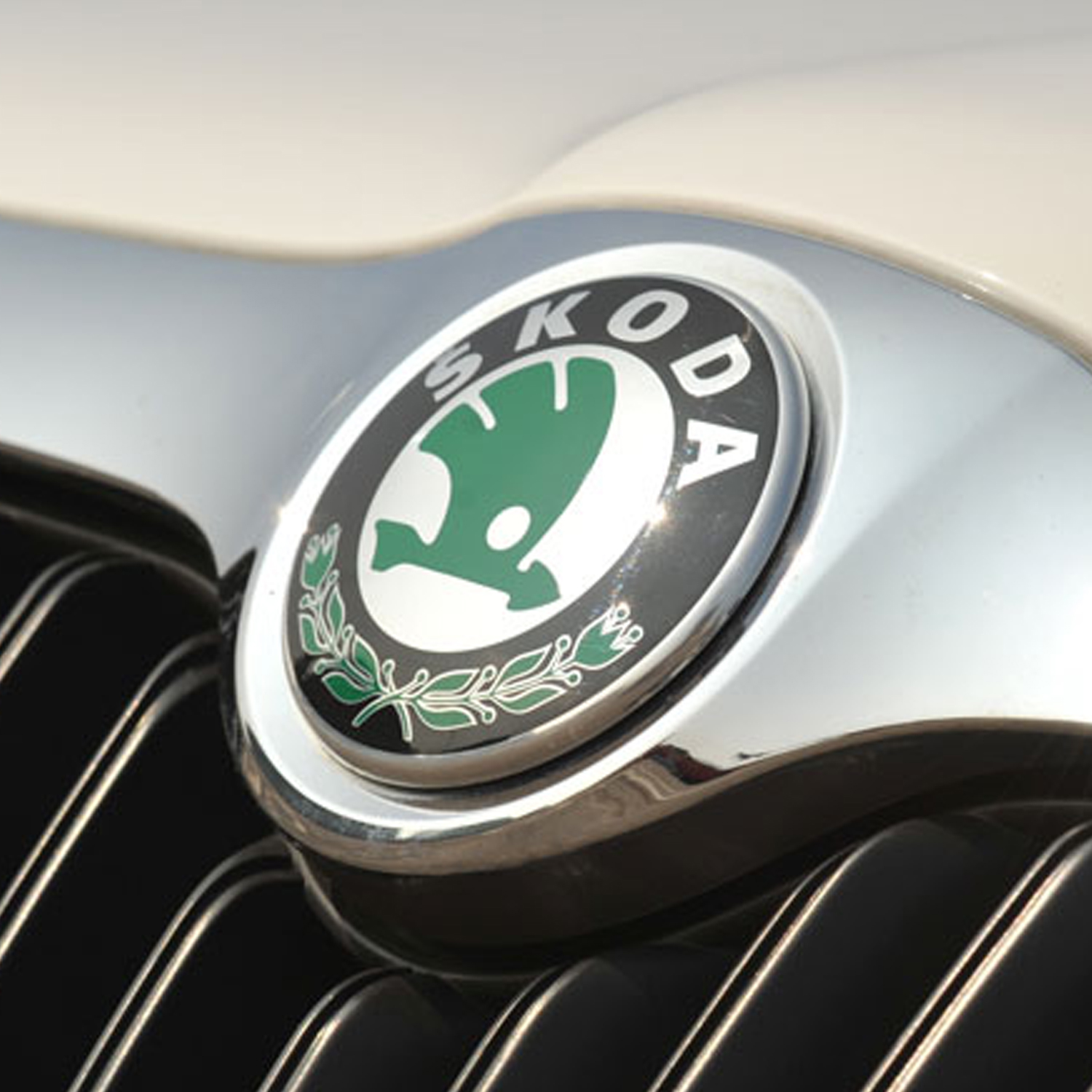 Skoda logo car emblem