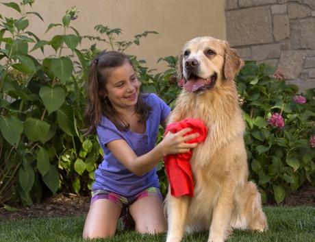 Använd absorber vattenslukare torkhandduk till hunden