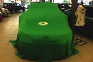 Reveal car cover NoCrease in green color